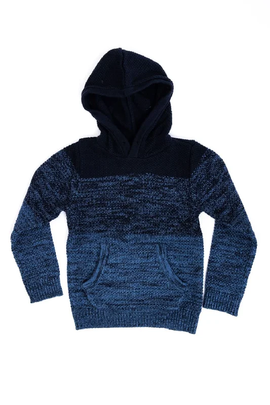 Fresh And Elegant Youth Hooded Sweater for Boys in Blue | BXW39135-BLUE